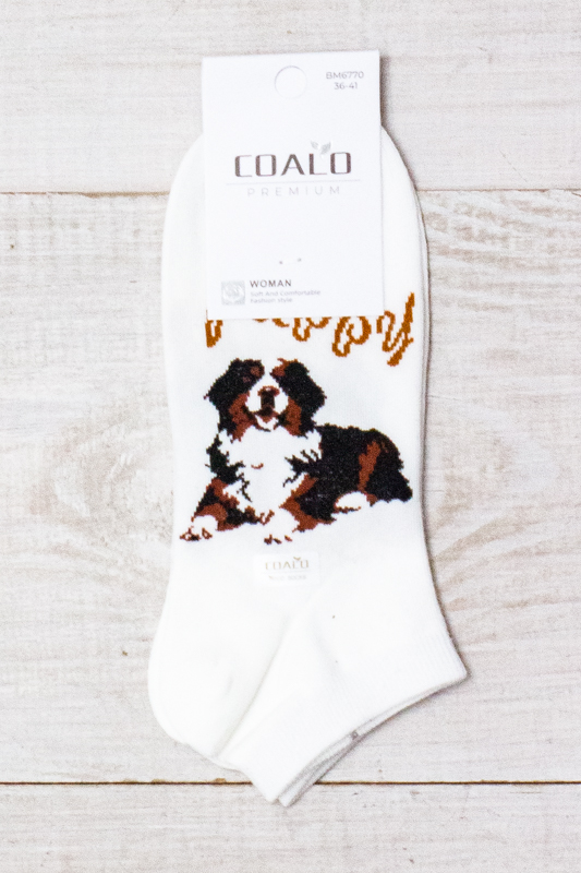 Шкарпетки жіночі